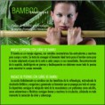 /album/inicio/masaje-con-canas-de-bambu-balneario-termas-pallares-nuevos-tratamientos-jpg1/