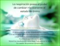 /album/beneficios-para-la-vida/respiracic3b3n-jpg/